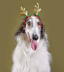 Fototapeta premium New year and Christmas concept with вog