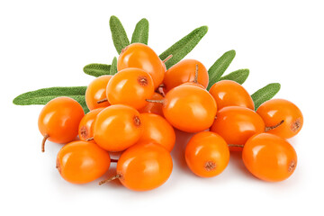 Sea buckthorn. Fresh ripe berry isolated on white background macro