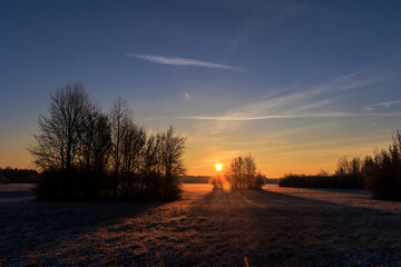 Colorful sunrise with golden sunshine over bushes and trees on a meadow landscape in Siebenbrunn...