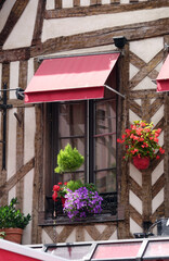 Fototapeta na wymiar Blumenfenster in Troyes