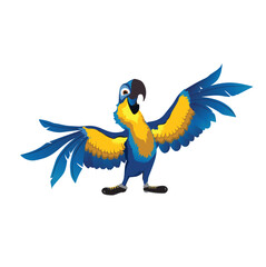 Mako Parrot Blue  Bird Illustration Cartoon  