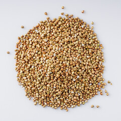 organic raw green buckwheat on a white background