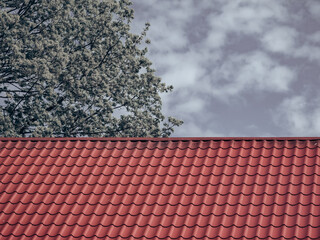 Red tiled roof. CLouds in blue sky. Green tree. Spring or summer nature.