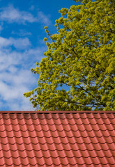 Red tiled roof. CLouds in blue sky. Green tree. Spring or summer nature.