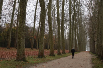Parque en otoño