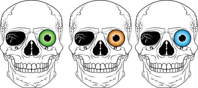 skull drawing with one eye alive