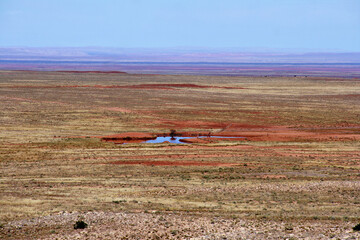 Arizona desert Oasis