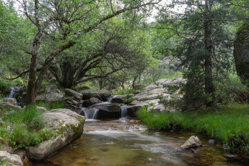 Fototapeta na wymiar Landscape formed by a river in long exposure that crosses the stones and many trees and green vegetation, in Rascafria, community of Madrid, Spain.
