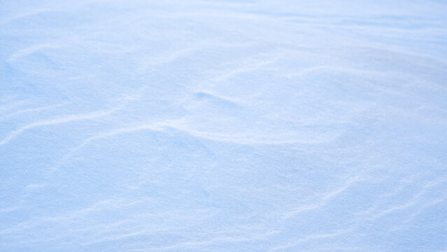 Natural winter background from snow falling on the ground