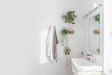 White bathroom minimalist Scandi interior sink mirror potted plant domestic apartment interior