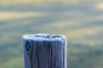 Selective focus of white frost or snowflakes on wooden stump with green background, Frost is a thin layer of ice which forms from water vapor in an above freezing atmosphere, Nature pattern texture.