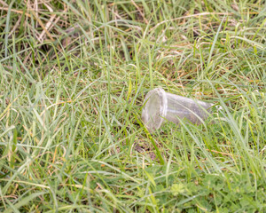 Closeup of plastic drink cup laying in grass