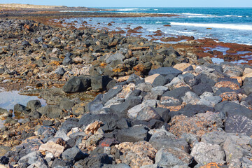 Rocks at the Atlantic Ocean coast . Stoney sea shore 