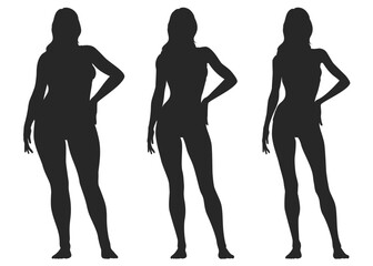 痩せた女性  太った女性  普通体型 女性のボディ比較シルエットセット