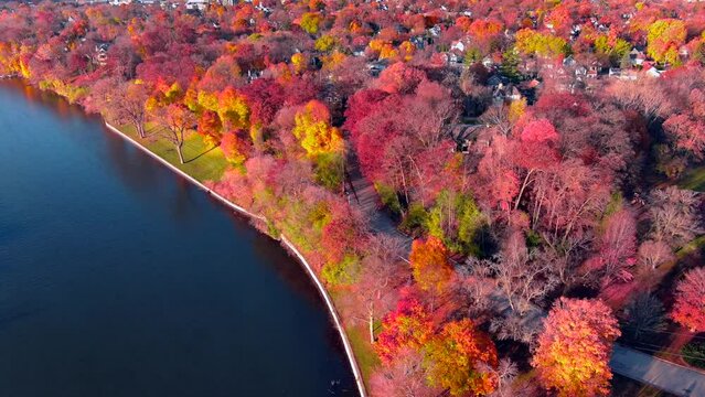 Breathtaking colorful Fall foliage by foggy autumn river at dawn, aerial view.
