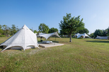 Camping tents on the park lawn