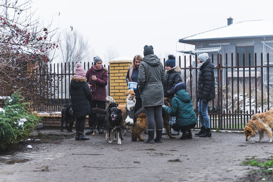 Meeting of dog shelter voluntary workers next to the fence exit. Group of volunteers in warm clothes gets ready to walk the dogs. Full-length outdoor view. High quality photo