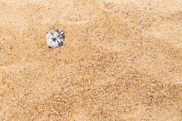 Big Carat Diamond Jewelry Gemstone on Sand Beach in Tropical Island beautiful summer sun on golden find sand, studio shot copy space