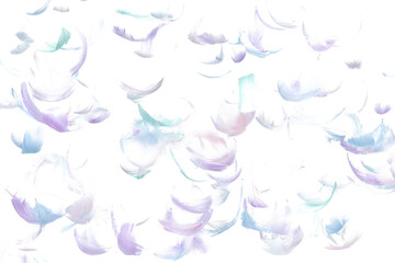 Many Pastel Feather fly fall in Air over white background isolated. Puffy Fluffy soft feathers as...