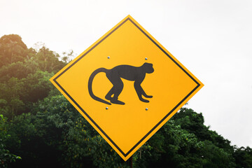 Yellow road sign, watch out for the monkeys, Kuching, Malaysia