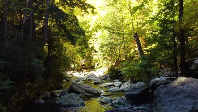 Aerial flying through serene river in fall forests of New York with boulders