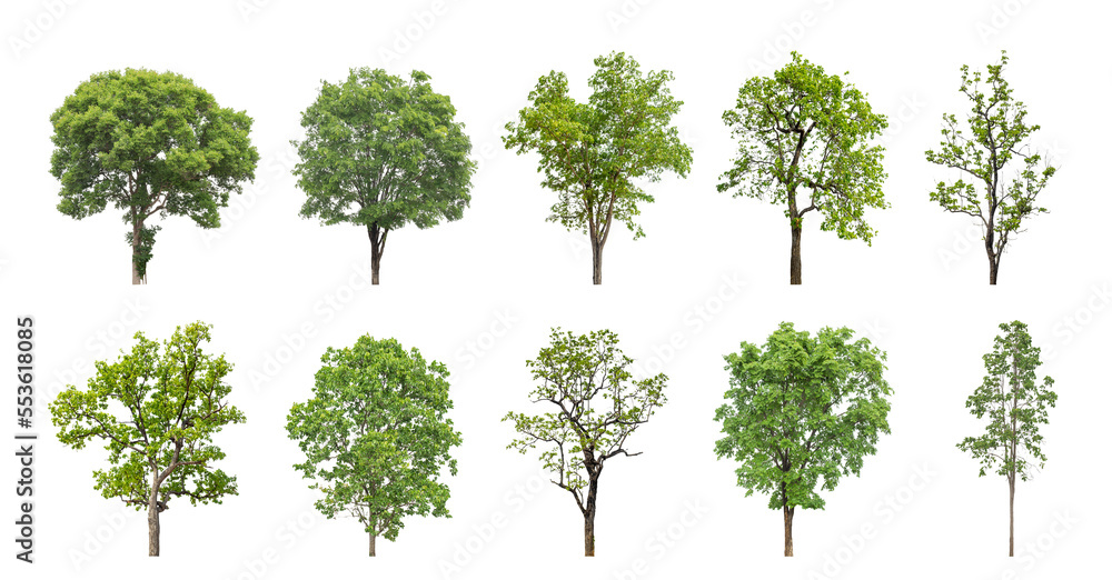 Aufkleber collection of green trees isolated on transparent background. for easy selection of designs.