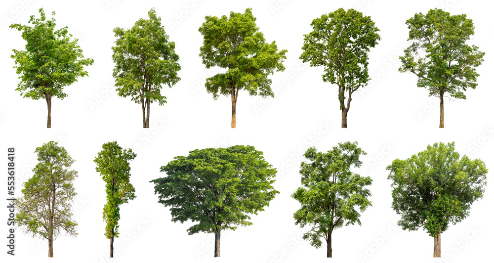 Aufkleber collection of green trees isolated on transparent background. for easy selection of designs.