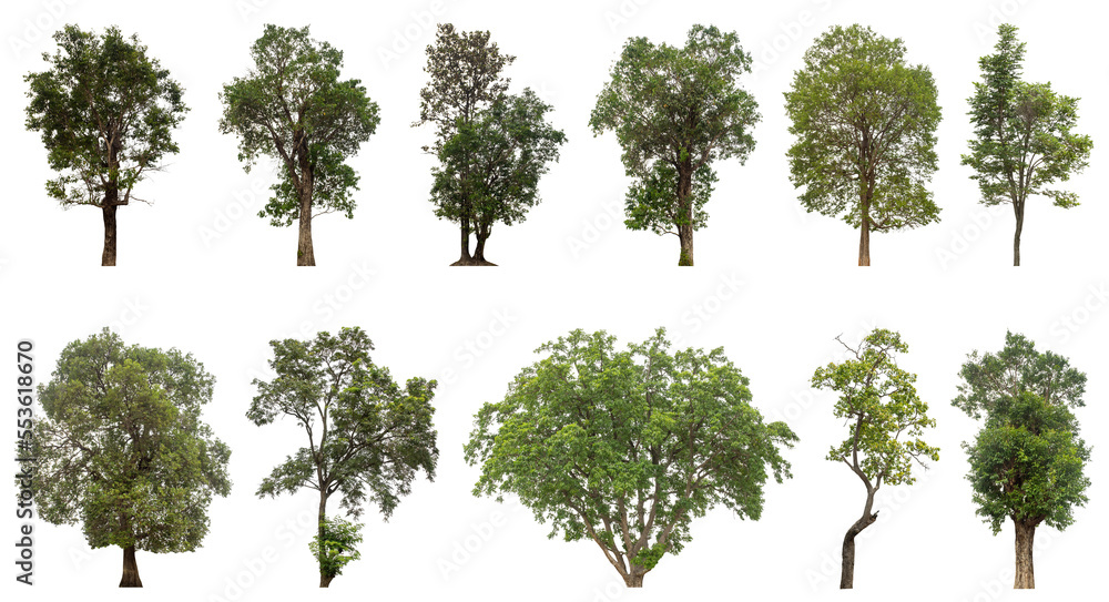 Aufkleber collection of green trees isolated on transparent background. for easy selection of designs.