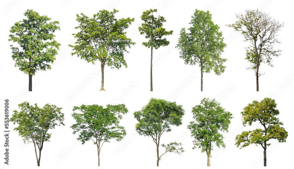 Aufkleber Collection of green trees isolated on transparent background. for easy selection of designs.