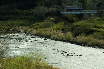春の木津川沿いを走るキハ120形普通列車