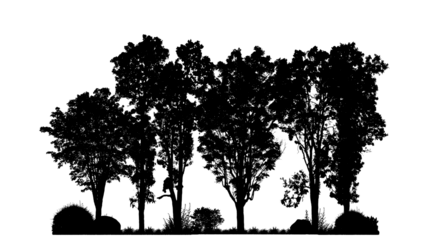 Isolated forest silhouette on transparent background with intersection and alpha channel