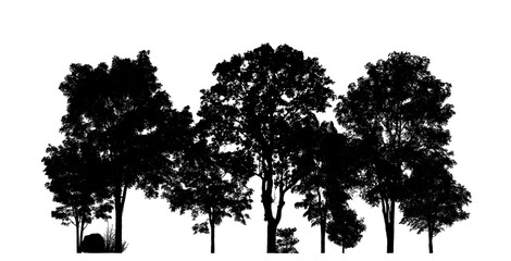 Fototapeta premium Isolated forest silhouette on transparent background with intersection and alpha channel