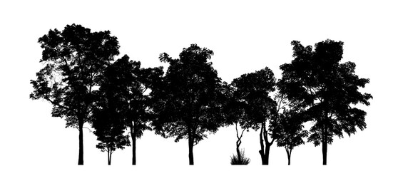 Isolated forest silhouette on transparent background with intersection and alpha channel