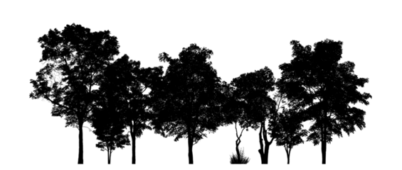 Isolated forest silhouette on transparent background with intersection and alpha channel