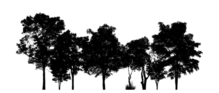 Isolated forest silhouette on transparent background with intersection and alpha channel