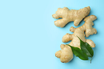 Fresh ginger with green leaves on pale light blue background, flat lay. Space for text