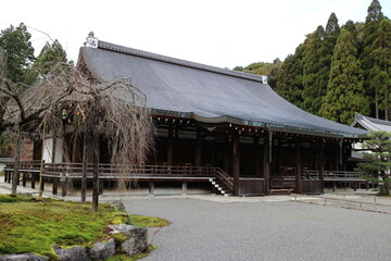 苔寺