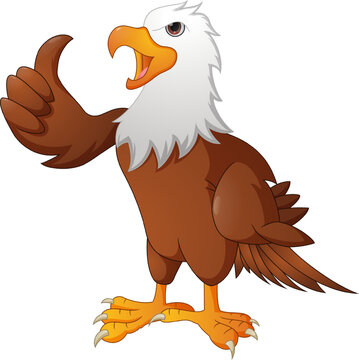 Cute eagle cartoon giving thumb up