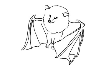 Adorable Flying Bat
