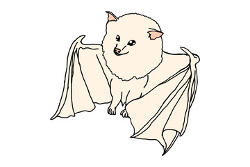 Adorable Flying Albino Bat