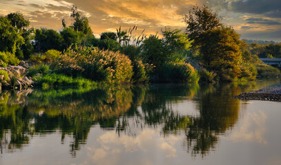 lush green bushes and trees grow along the river and are reflected in the calm water at sunset in turkey - 553626621