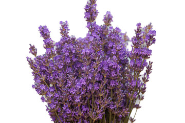 beautiful lush bouquet of fresh lavender flowers on an isolated background - 553626632