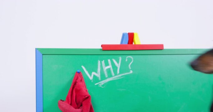 Teacher dog in cap, vest stands at blackboard, emphasizes chalk on blackboard question of why. Alternative education development of logical lateral thinking in children. Preschool quiz riddle gigsaw 
