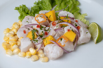 Close up of Ceviche, typical fish-based dish of Peruvian cuisine on white background.