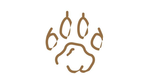 tiger hoof print color icon animation