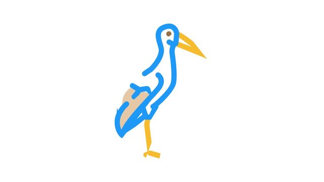 stork bird color icon animation