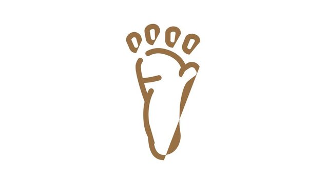 monkey animal hoof print color icon animation
