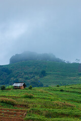 Morning mist over the mountain range during the rainy season at Mon Chaem, Chiang Mai, Thailand.