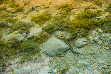 A turquoise lake in Blue Moon Valley in Lijiang, ChinaA turquoise lake in Blue Moon Valley in Lijiang, China