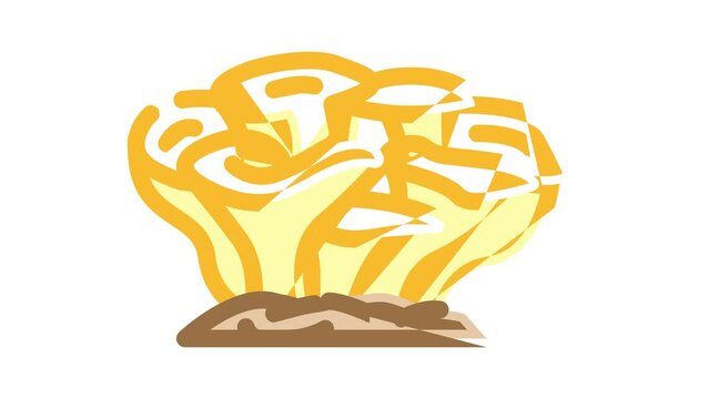 maitake mushroom color icon animation